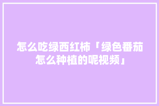 怎么吃绿西红柿「绿色番茄怎么种植的呢视频」
