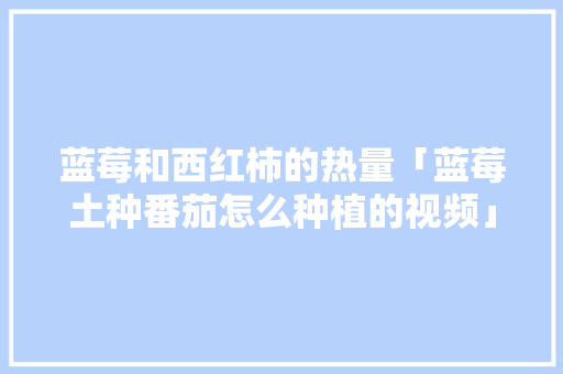 蓝莓和西红柿的热量「蓝莓土种番茄怎么种植的视频」 蓝莓和西红柿的热量「蓝莓土种番茄怎么种植的视频」 植物种类