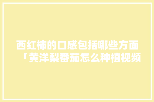 西红柿的口感包括哪些方面「黄洋梨番茄怎么种植视频」