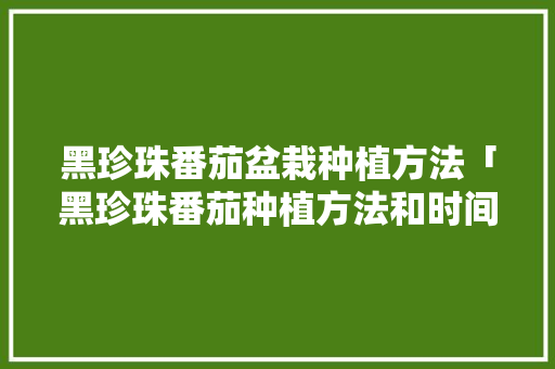 黑珍珠番茄盆栽种植方法「黑珍珠番茄种植方法和时间」 黑珍珠番茄盆栽种植方法「黑珍珠番茄种植方法和时间」 土壤施肥
