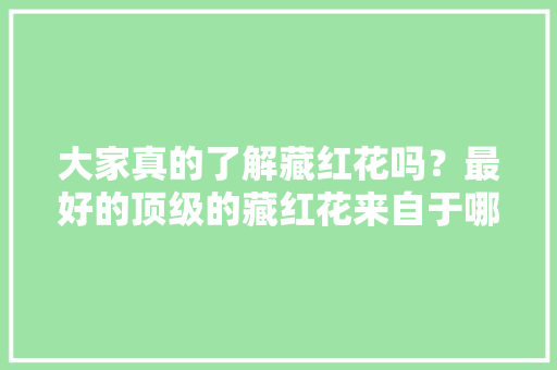 大家真的了解藏红花吗?最好的顶级的藏红花来自于哪里「小花农种植番茄怎么种植」 土壤施肥 大家真的了解藏红花吗?最好的顶级的藏红花来自于哪里「小花农种植番茄怎么种植」 大家真的了解藏红花吗?最好的顶级的藏红花来自于哪里「小花农种植番茄怎么种植」 土壤施肥