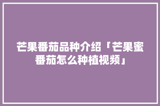 芒果番茄品种介绍「芒果蜜番茄怎么种植视频」 番茄种植技巧 芒果番茄品种介绍「芒果蜜番茄怎么种植视频」 芒果番茄品种介绍「芒果蜜番茄怎么种植视频」 番茄种植技巧
