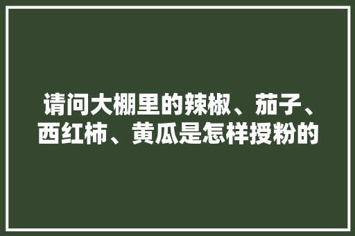 请问大棚里的辣椒、茄子、西红柿、黄瓜是怎样授粉的?我没看到有蜜蜂在大棚里飞啊「大棚番茄如何授粉」 请问大棚里的辣椒、茄子、西红柿、黄瓜是怎样授粉的?我没看到有蜜蜂在大棚里飞啊「大棚番茄如何授粉」 种植技巧