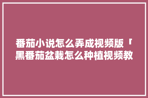 番茄小说怎么弄成视频版「黑番茄盆栽怎么种植视频教程」 番茄小说怎么弄成视频版「黑番茄盆栽怎么种植视频教程」 番茄病虫害防治