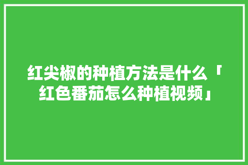 红尖椒的种植方法是什么「红色番茄怎么种植视频」 红尖椒的种植方法是什么「红色番茄怎么种植视频」 种植技巧