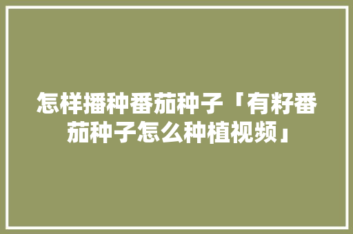 怎样播种番茄种子「有籽番茄种子怎么种植视频」 怎样播种番茄种子「有籽番茄种子怎么种植视频」 花朵知识