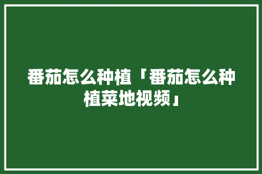 番茄怎么种植「番茄怎么种植菜地视频」 番茄怎么种植「番茄怎么种植菜地视频」 植物种类