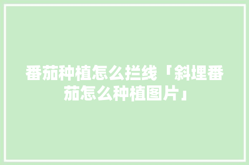 番茄种植怎么拦线「斜埋番茄怎么种植图片」 番茄种植怎么拦线「斜埋番茄怎么种植图片」 番茄种植技巧