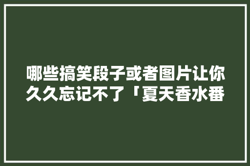 哪些搞笑段子或者图片让你久久忘记不了「夏天香水番茄怎么种植的」