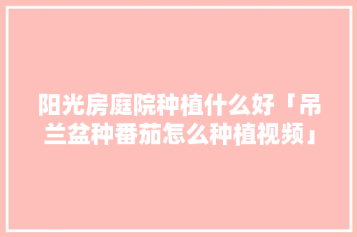 阳光房庭院种植什么好「吊兰盆种番茄怎么种植视频」 阳光房庭院种植什么好「吊兰盆种番茄怎么种植视频」 种植技巧