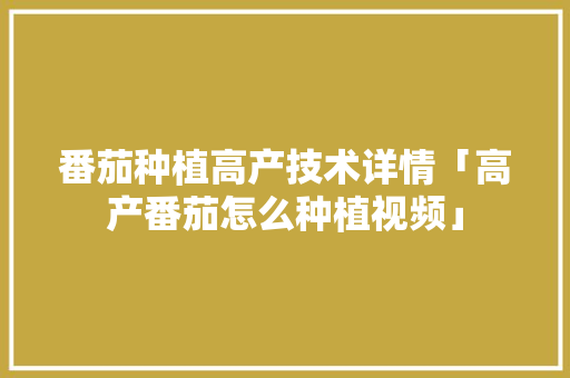 番茄种植高产技术详情「高产番茄怎么种植视频」