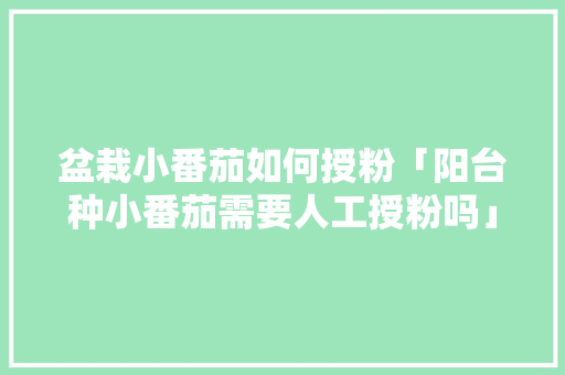 盆栽小番茄如何授粉「阳台种小番茄需要人工授粉吗」 盆栽小番茄如何授粉「阳台种小番茄需要人工授粉吗」 植物种类