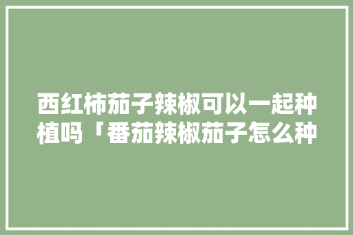 西红柿茄子辣椒可以一起种植吗「番茄辣椒茄子怎么种植视频」 西红柿茄子辣椒可以一起种植吗「番茄辣椒茄子怎么种植视频」 番茄病虫害防治