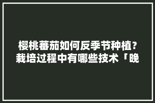 樱桃蕃茄如何反季节种植？栽培过程中有哪些技术「晚秋小番茄种子怎么种植视频」 樱桃蕃茄如何反季节种植？栽培过程中有哪些技术「晚秋小番茄种子怎么种植视频」 番茄病虫害防治