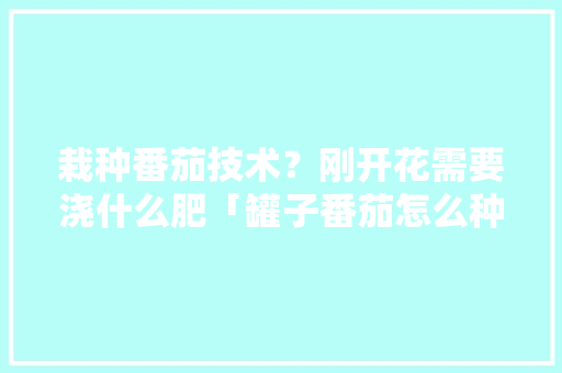 栽种番茄技术？刚开花需要浇什么肥「罐子番茄怎么种植方法视频」 栽种番茄技术？刚开花需要浇什么肥「罐子番茄怎么种植方法视频」 番茄种植技巧