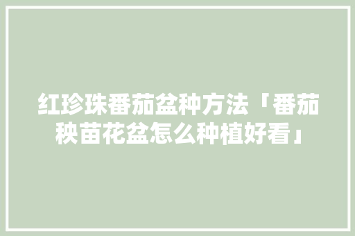 红珍珠番茄盆种方法「番茄秧苗花盆怎么种植好看」 红珍珠番茄盆种方法「番茄秧苗花盆怎么种植好看」 植物种类