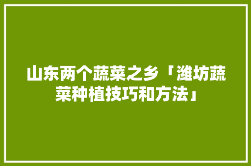 山东两个蔬菜之乡「潍坊蔬菜种植技巧和方法」 山东两个蔬菜之乡「潍坊蔬菜种植技巧和方法」 番茄种植技巧