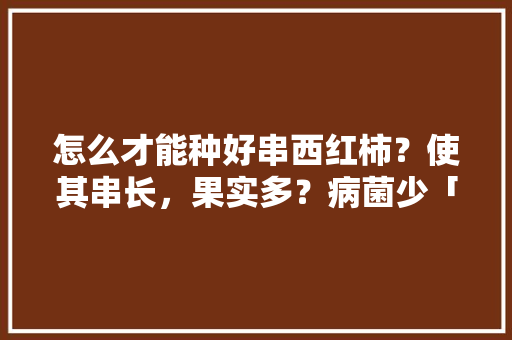 怎么才能种好串西红柿？使其串长，果实多？病菌少「番茄怎么种植技术图解」 怎么才能种好串西红柿？使其串长，果实多？病菌少「番茄怎么种植技术图解」 农业常识