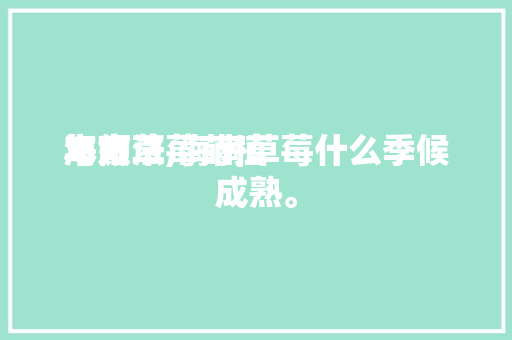海南草莓莳植本领与方法,海南草莓什么季候成熟。
