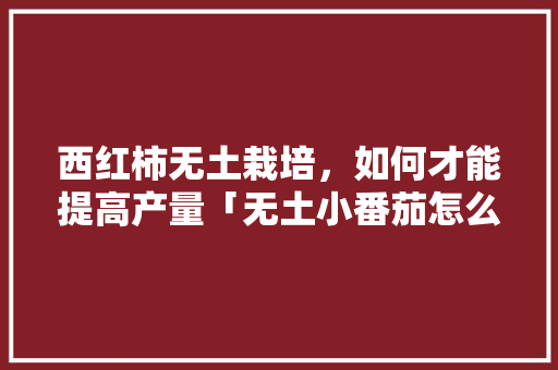 西红柿无土栽培，如何才能提高产量「无土小番茄怎么种植方法视频」 西红柿无土栽培，如何才能提高产量「无土小番茄怎么种植方法视频」 农业常识