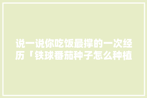 说一说你吃饭最撑的一次经历「铁球番茄种子怎么种植的视频」