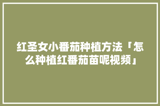 红圣女小番茄种植方法「怎么种植红番茄苗呢视频」 红圣女小番茄种植方法「怎么种植红番茄苗呢视频」 花朵知识