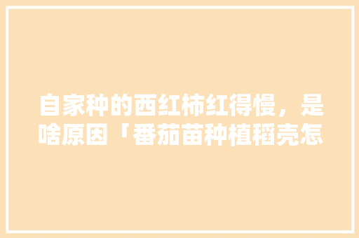 自家种的西红柿红得慢,是啥原因「番茄苗种植稻壳怎么种植的」 植物种类 自家种的西红柿红得慢,是啥原因「番茄苗种植稻壳怎么种植的」 自家种的西红柿红得慢,是啥原因「番茄苗种植稻壳怎么种植的」 植物种类