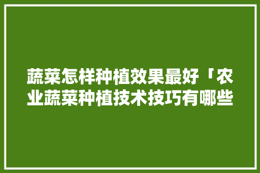 蔬菜怎样种植效果最好「农业蔬菜种植技术技巧有哪些」 蔬菜怎样种植效果最好「农业蔬菜种植技术技巧有哪些」 番茄种植技巧