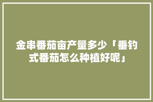 金串番茄亩产量多少「垂钓式番茄怎么种植好呢」