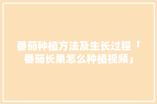 番茄种植方法及生长过程「番茄长果怎么种植视频」 番茄种植方法及生长过程「番茄长果怎么种植视频」 花朵知识