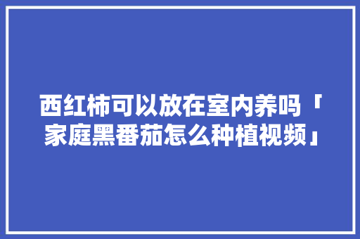 西红柿可以放在室内养吗「家庭黑番茄怎么种植视频」 西红柿可以放在室内养吗「家庭黑番茄怎么种植视频」 番茄病虫害防治