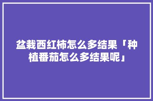 盆栽西红柿怎么多结果「种植番茄怎么多结果呢」 盆栽西红柿怎么多结果「种植番茄怎么多结果呢」 花朵知识