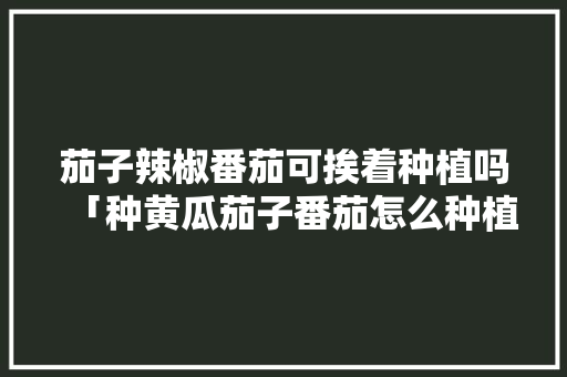 茄子辣椒番茄可挨着种植吗「种黄瓜茄子番茄怎么种植视频」 茄子辣椒番茄可挨着种植吗「种黄瓜茄子番茄怎么种植视频」 种植技巧