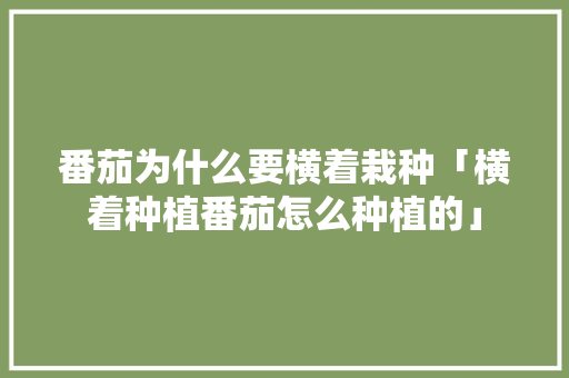 番茄为什么要横着栽种「横着种植番茄怎么种植的」 番茄为什么要横着栽种「横着种植番茄怎么种植的」 番茄病虫害防治