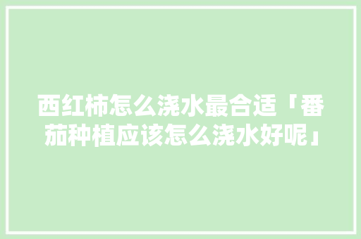 西红柿怎么浇水最合适「番茄种植应该怎么浇水好呢」 西红柿怎么浇水最合适「番茄种植应该怎么浇水好呢」 植物种类