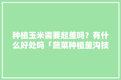 种植玉米需要起垄吗？有什么好处吗「蔬菜种植垄沟技巧和方法视频」
