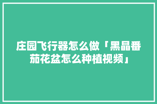 庄园飞行器怎么做「黑晶番茄花盆怎么种植视频」