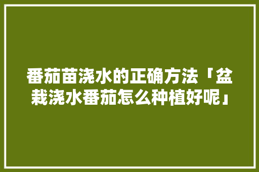 番茄苗浇水的正确方法「盆栽浇水番茄怎么种植好呢」 番茄苗浇水的正确方法「盆栽浇水番茄怎么种植好呢」 农业常识