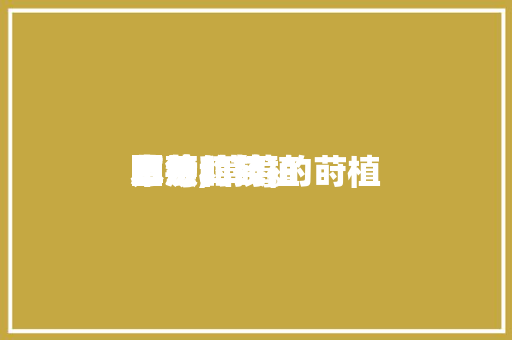 草莓的莳植本领图片,草莓的莳植方法和技。 草莓的莳植本领图片,草莓的莳植方法和技。 种植技巧