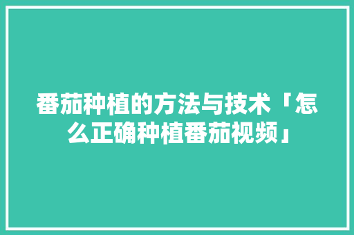 番茄种植的方法与技术「怎么正确种植番茄视频」 番茄种植的方法与技术「怎么正确种植番茄视频」 番茄种植技巧