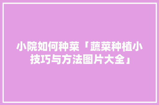 小院如何种菜「蔬菜种植小技巧与方法图片大全」 小院如何种菜「蔬菜种植小技巧与方法图片大全」 种植技巧