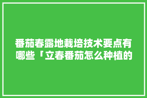番茄春露地栽培技术要点有哪些「立春番茄怎么种植的视频」 番茄春露地栽培技术要点有哪些「立春番茄怎么种植的视频」 土壤施肥