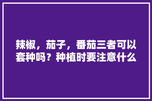 辣椒，茄子，番茄三者可以套种吗？种植时要注意什么问题「怎么种植土豆茄子番茄苗视频」 辣椒，茄子，番茄三者可以套种吗？种植时要注意什么问题「怎么种植土豆茄子番茄苗视频」 农业常识