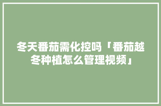 冬天番茄需化控吗「番茄越冬种植怎么管理视频」 冬天番茄需化控吗「番茄越冬种植怎么管理视频」 农业常识