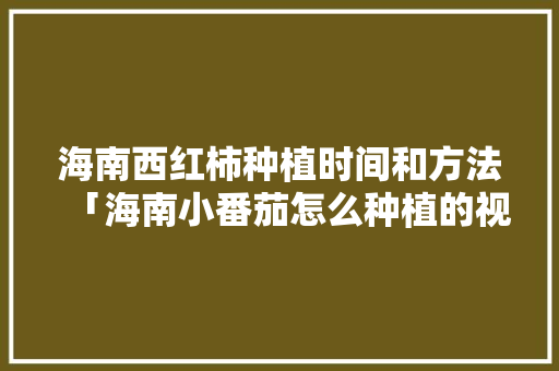海南西红柿种植时间和方法「海南小番茄怎么种植的视频」 海南西红柿种植时间和方法「海南小番茄怎么种植的视频」 种植技巧