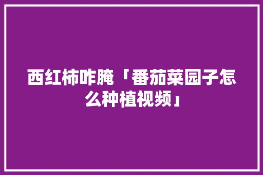 西红柿咋腌「番茄菜园子怎么种植视频」