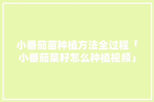 小番茄苗种植方法全过程「小番茄菜籽怎么种植视频」 小番茄苗种植方法全过程「小番茄菜籽怎么种植视频」 种植技巧