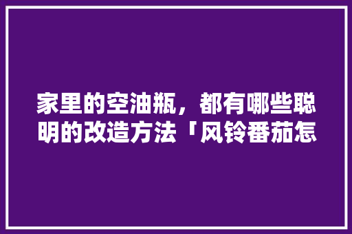 家里的空油瓶，都有哪些聪明的改造方法「风铃番茄怎么种植视频教程」 家里的空油瓶，都有哪些聪明的改造方法「风铃番茄怎么种植视频教程」 种植技巧