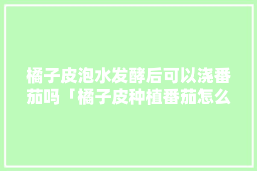 橘子皮泡水发酵后可以浇番茄吗「橘子皮种植番茄怎么种植的」 橘子皮泡水发酵后可以浇番茄吗「橘子皮种植番茄怎么种植的」 农业常识