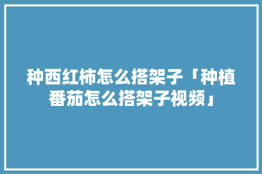 种西红柿怎么搭架子「种植番茄怎么搭架子视频」